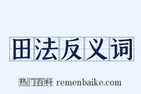 田法反义词是什么意思的图片